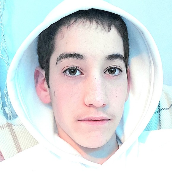 shneurlitz